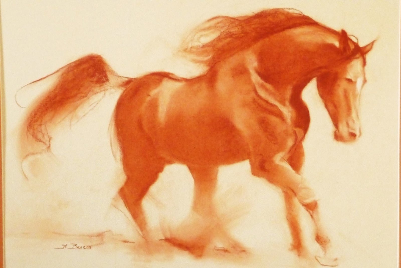 Sanguine de Matthieu Brazes : cheval au galop, crinière au vent